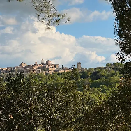 Casale Delle Luci Διαμέρισμα Lucignano